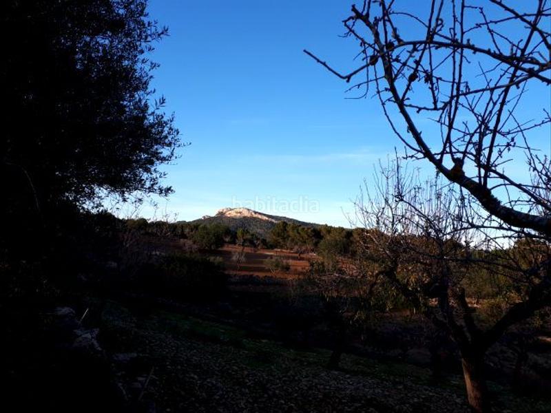 Foto bdaf09bb-3d01-4ff2-886c-dc86c80ef2f4. Terreno residenziale in Manacor centre Manacor