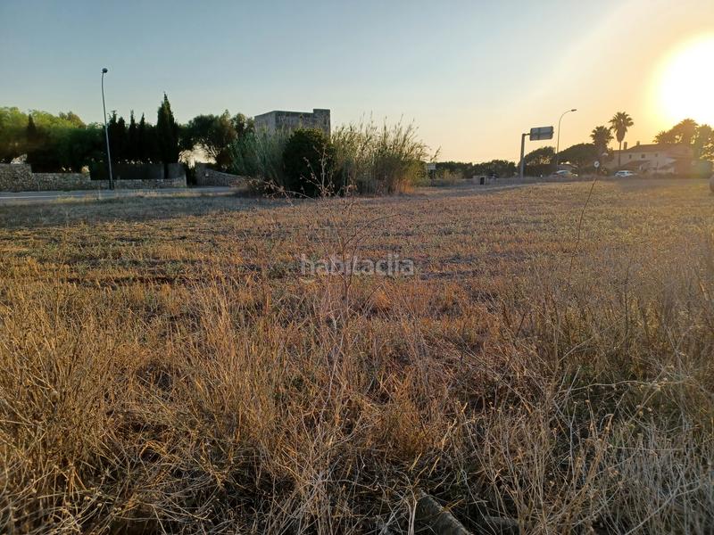 Foto 40e2c246-c4e2-4331-b140-042f0065b83e. Fondo rustico in Campos