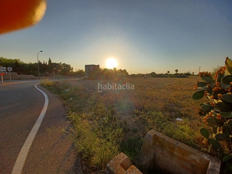 Foto cc8f31c8-6d57-4bd6-9ff1-b29cbd9557f9. Fondo rustico in Campos
