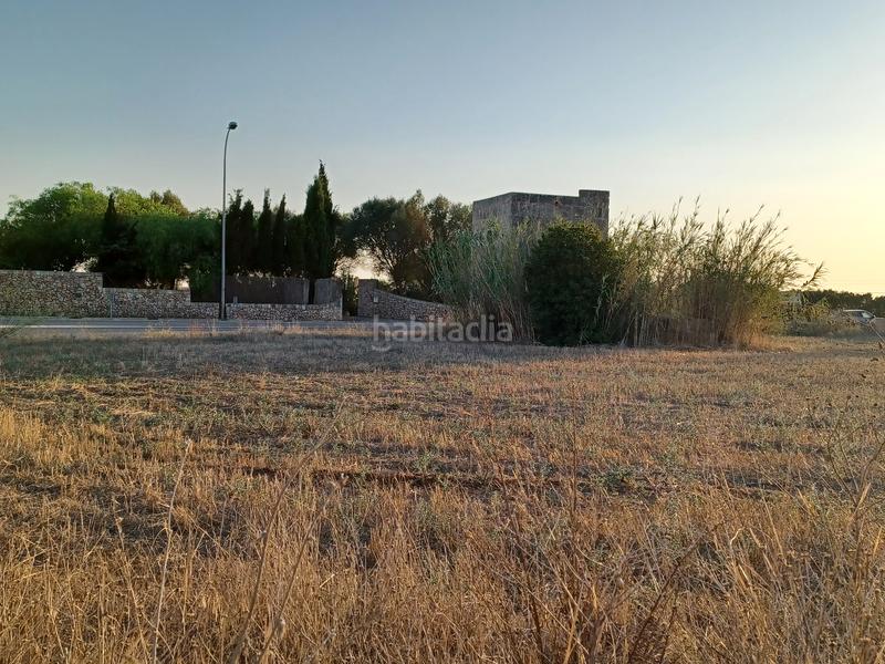 Foto d43f9d39-a0cd-43d9-982a-2ee397493587. Fondo rustico in Campos