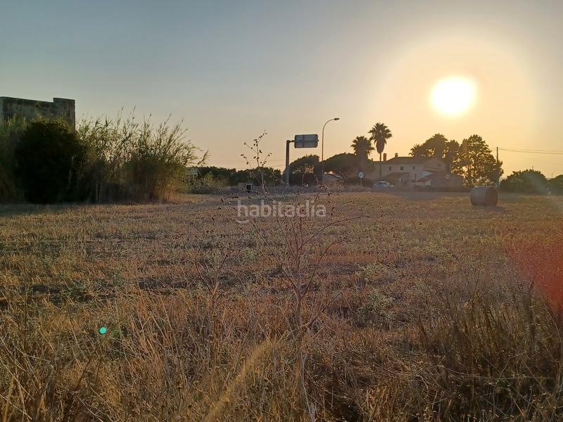 Foto fb9be2f7-4779-4827-b03b-cdc4ec683bfa. Fondo rustico in Campos