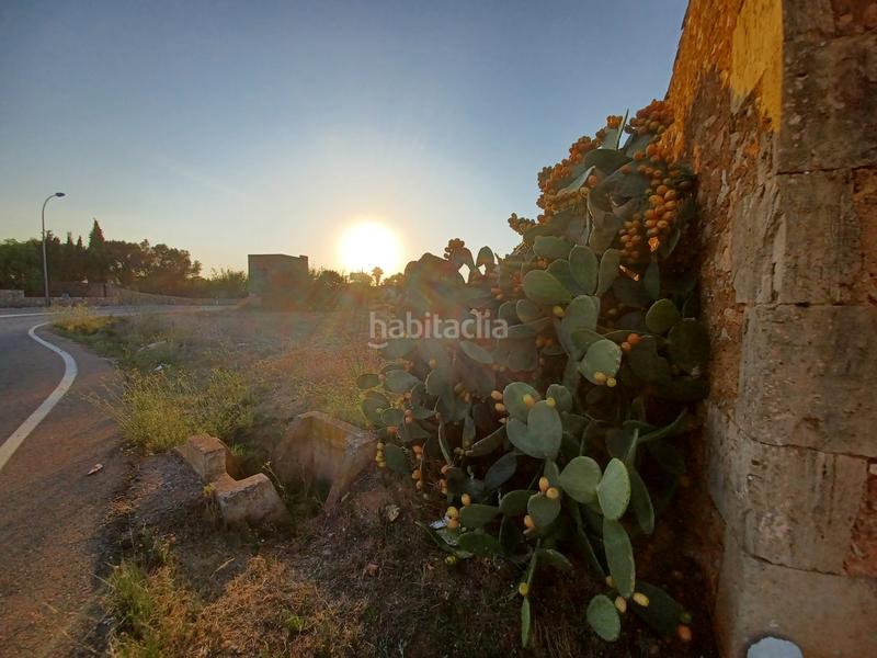 Foto 7ee6b118-d9a5-4d72-9093-f1a7dba5c253. Finca rústica a Campos
