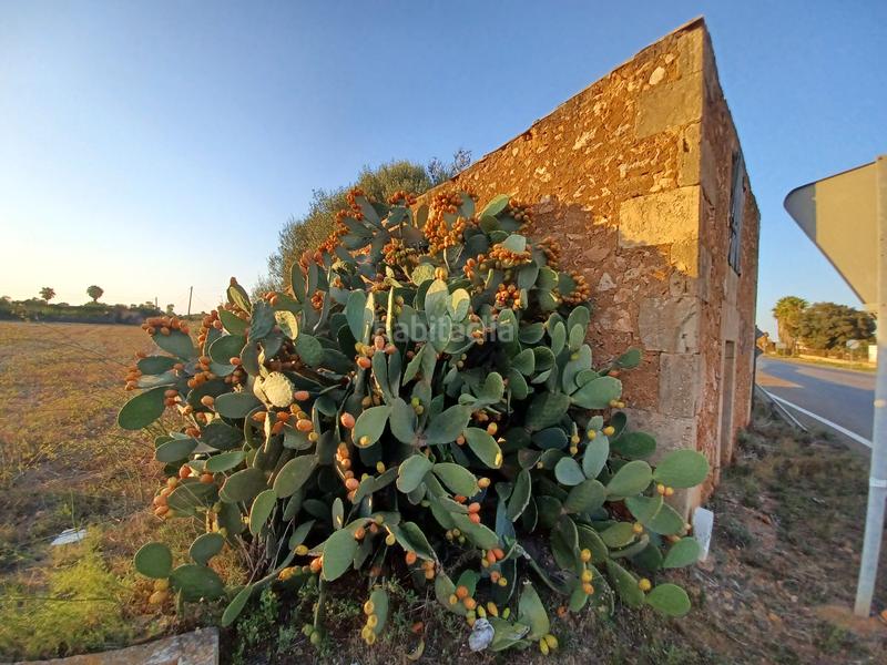 Foto 150c5ea2-703c-45ce-9f2a-b52ceec225fc. Finca rústica en Campos