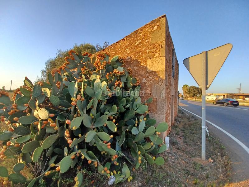 Foto 24e019fd-db21-481b-aee5-e2815c3237ca. Finca rústica en Campos