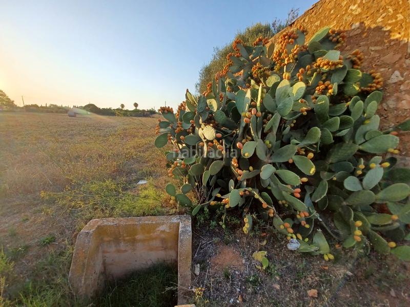 Foto 516eb646-ece5-4d5b-b96e-c938387c82d2. Finca rústica en Campos