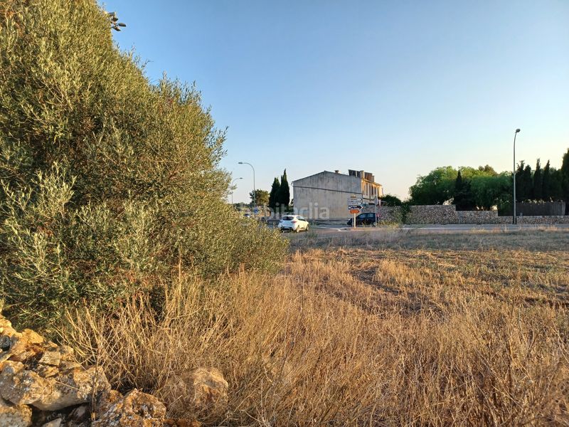 Foto c7cefad1-0af5-4a01-b070-5ba88a3de02d. Propriété dans Zona Rústica - Interior Campos