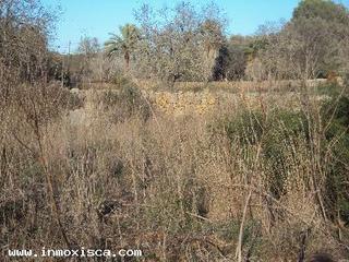 Terrain rsidentiel  Carrer de campos. Finca rstica a 6 km de felanitx. al lado de la carretera. y poc