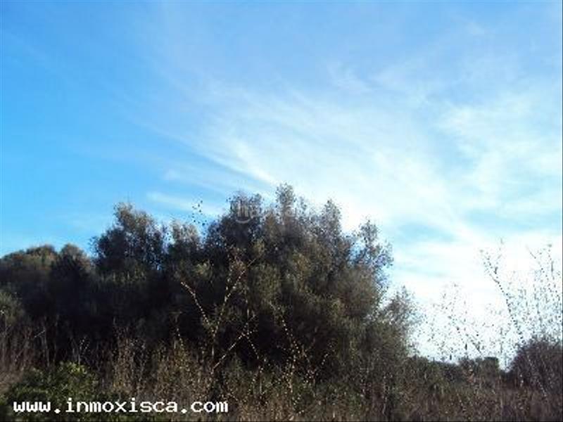 Foto 987425c2-0a24-41c8-9ea7-b7d6c9da831f. Terrain résidentiel dans Felanitx poble Felanitx