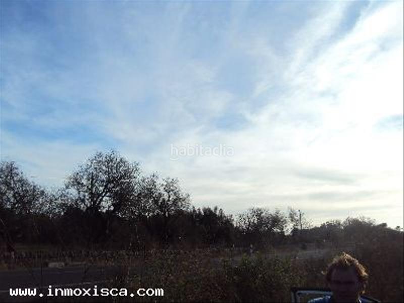 Foto c95bbe36-3f8a-44d2-be95-b1a22d196de5. Terrain résidentiel dans Felanitx poble Felanitx