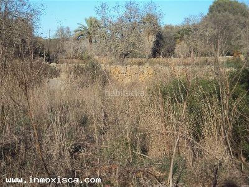 Foto d43d6f63-c08e-4ce9-89ed-cb2fd35b56fa. Terrain résidentiel dans Felanitx poble Felanitx