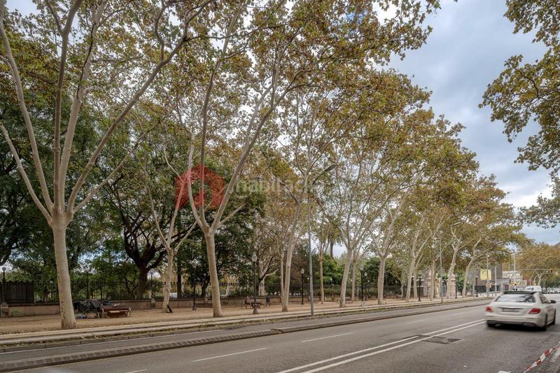 Foto 64aa8a8e-da11-443e-b366-26616605a63e. Business premise in St. Pere - Sta. Caterina - El Born Barcelona