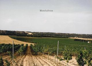 Terreno residencial en Calle polígono 1 parcela 39 hondo del rio. montalvos (a 39. 2 terrenos rústicos de uso agrario con un total de 324.946 m2 32