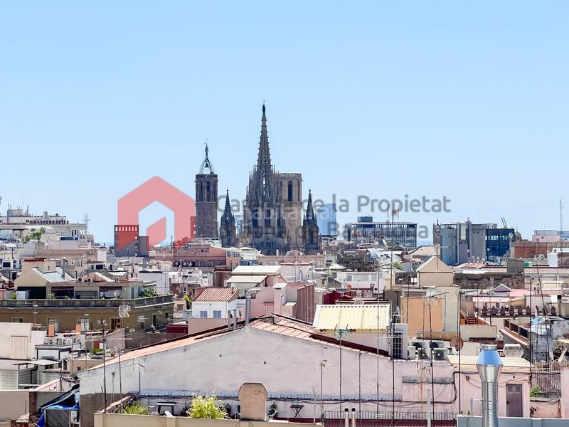 Foto 7ee285e5-e9ff-43fe-a6ec-67fd09ec7271. Àtic a Gòtic Barcelona