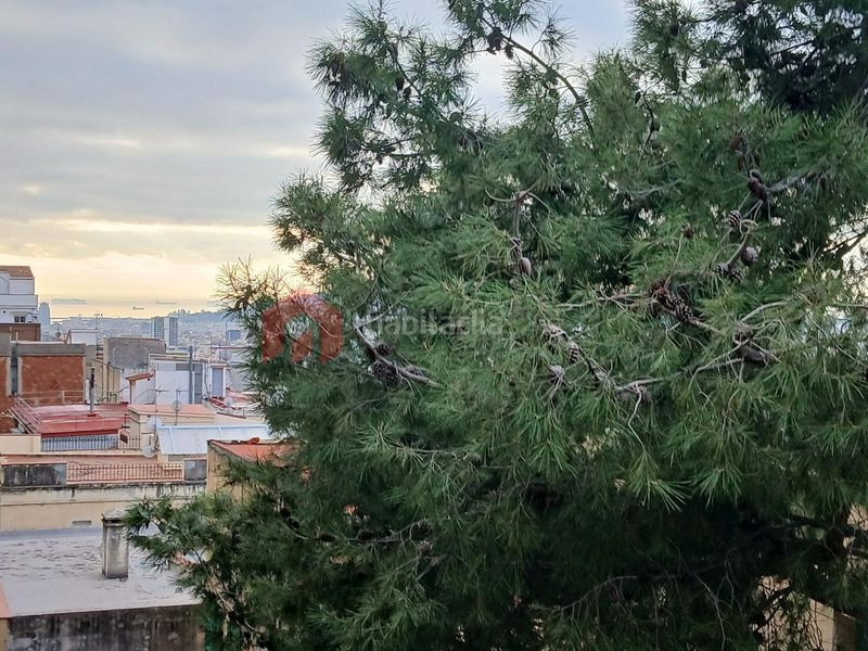 Foto 0d6b1fcb-e9f8-4505-aee8-15885c99a201. Pis a Vallcarca - Penitents Barcelona