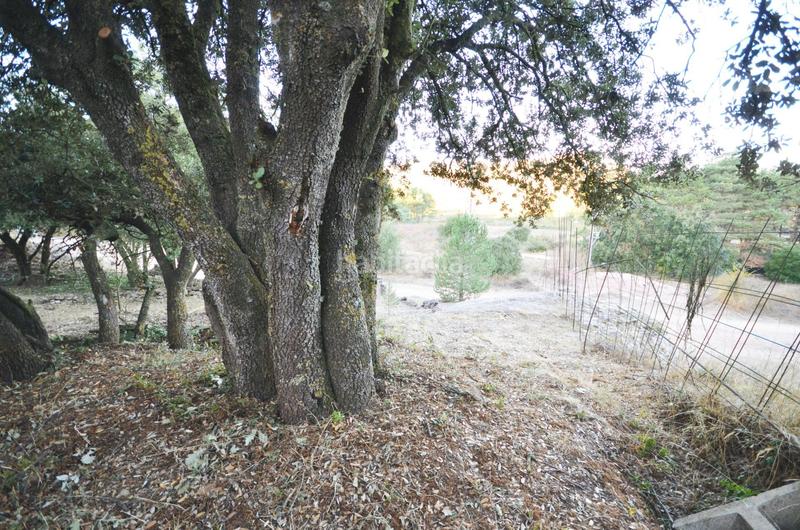 Foto 1b58684a-f4f5-46bf-a6c2-c1b2f5e0050d. Terreno residenziale in calle conca barbera 6 in Prades