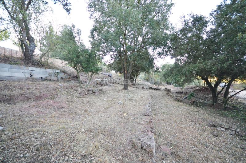 Foto 533cf7c8-7b81-4114-8659-57a2056aa82c. Terreno residenziale in calle conca barbera 6 in Prades