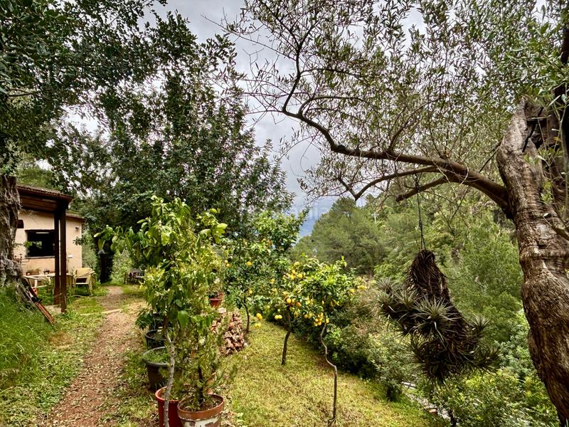 Foto 058d6bcf-e97e-49db-882d-e1744bca41ae. Masia a Sóller