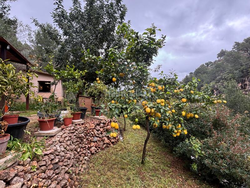 Foto b394fcde-f0ff-4485-99b6-b30333b3ac19. Masia a Sóller