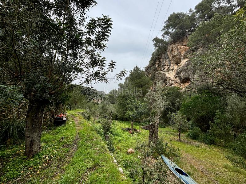 Foto ba04194e-ac75-4be1-9bc7-2667faa46e4d. Masia a Sóller