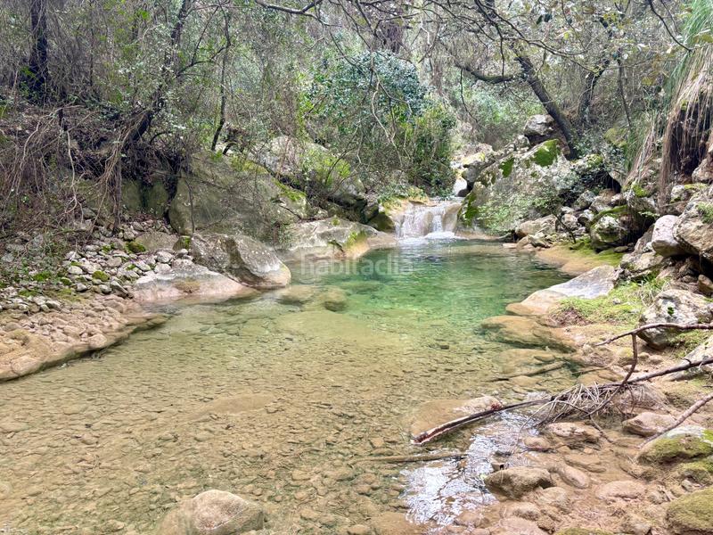 Foto c81cc717-f5e9-46f4-81f1-9959313234c7. Masia a Sóller