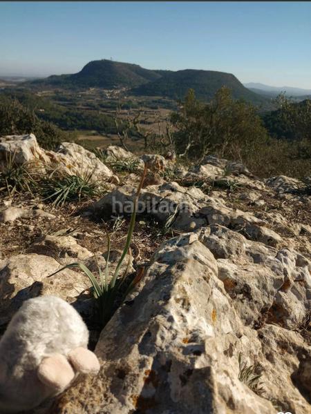 Foto 683b6eba-ff79-4d82-8578-de87cf30b416. Landgut in Llucmajor interior Llucmajor