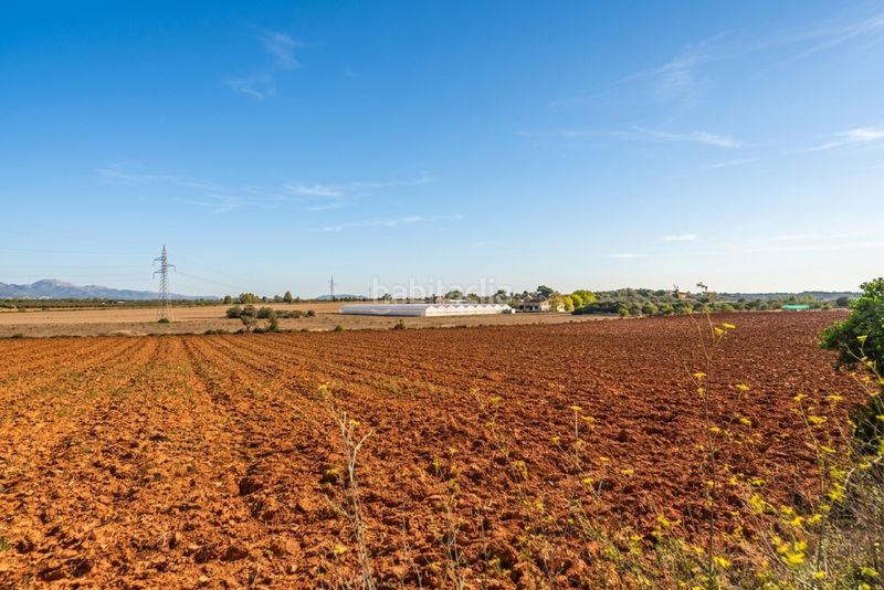 Foto 3bec83ff-0c92-43ea-9ed5-a9a959db4ea2. Finca rústica a Santa Eugènia