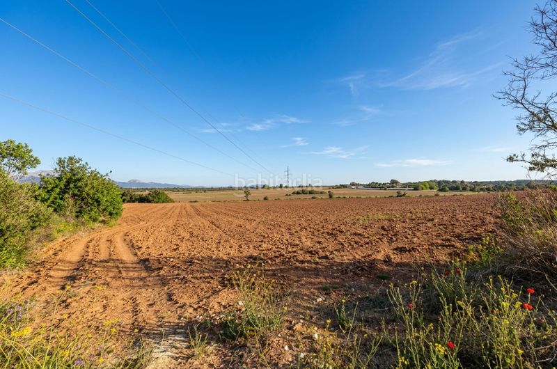 Foto 4059ed17-8964-4a88-938e-375c625efca0. Finca rústica a Santa Eugènia