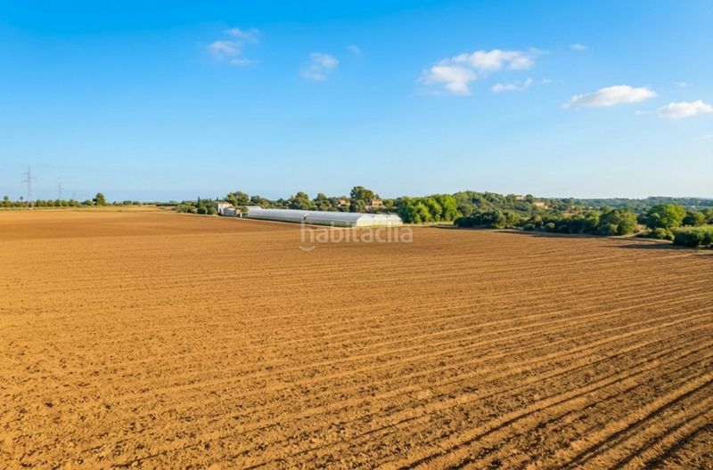 Foto 5c1f525d-b2ce-44ff-89b9-4f2379367870. Finca rústica a Santa Eugènia