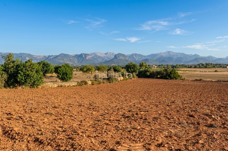 Foto caeb3a42-97f1-4dcc-a402-c31b41146f56. Finca rústica a Santa Eugènia