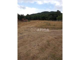 Finca rústica a Sant Celoni. Finca rustica en venta en la batlloria