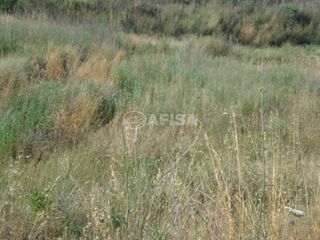 Terreno residencial en Sils. Parcela en venta