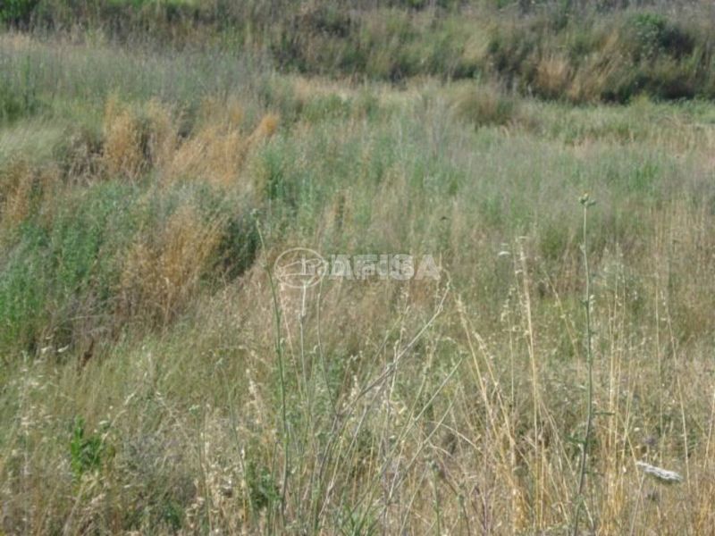 Foto 75b8831f-b12a-422e-8f21-e82d98eafeab. Terreny residencial a Sils