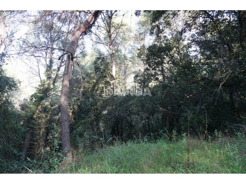 Foto 4e8b4f03-4330-4366-99d4-bc01ddb0b590. Finca rústica a Franqueses del Vallès (Les)