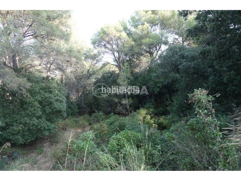 Foto db5ac624-9a27-40c4-ae70-5e5e031dcd22. Finca rústica a Franqueses del Vallès (Les)
