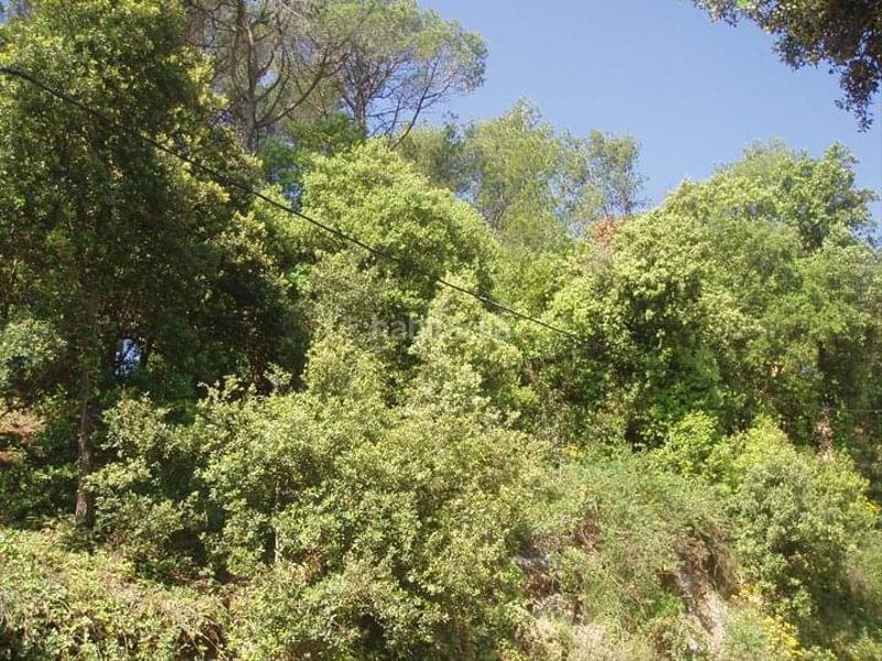 Foto 75ff09b3-5741-4bfa-ae1a-50268a03d036. Residential plot in carrer serra de sant feliu 82 in Castellar del Vallès