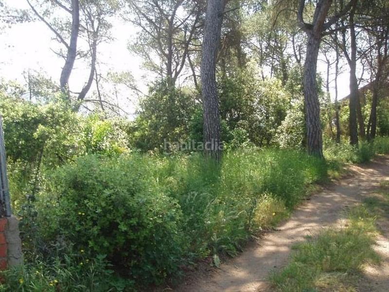 Foto 79410a59-c189-4ac0-856f-1b8c8cb8015b. Residential plot in carrer serra de sant feliu 82 in Castellar del Vallès