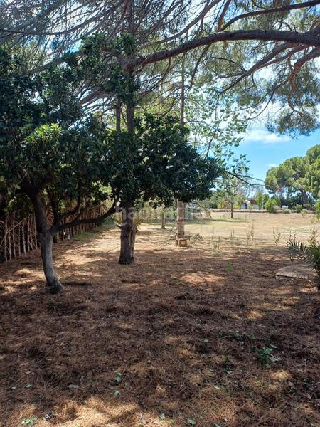 Foto ddbb8011-cb1a-42d0-8a55-7fa3f3d8d04b. Chalet magnífica casa independiente con amplio terreno y carpa para eventos o chalets de lujo para inversores en Vilallonga del Camp