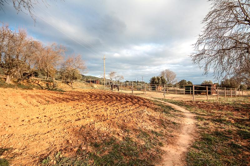 Foto e36efe96-0895-4c56-a880-54297333aa58. Masia amb xemeneia calefacció aparcament piscina a Castellar del Vallès