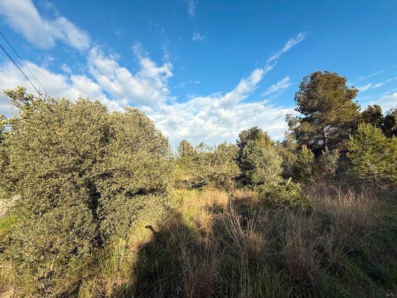 Foto b56fde0e-d4e2-45bb-ba47-2b8c7d8eb429. Terrain résidentiel dans La Franquesa-Oasis Park Vendrell (El)