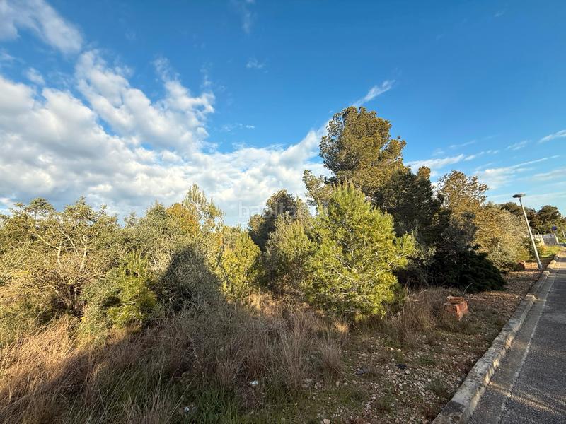 Foto ed791c00-9dd3-4e60-a696-e6beea081a48. Terrain résidentiel dans La Franquesa-Oasis Park Vendrell (El)