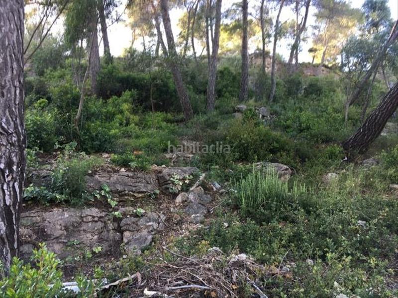 Foto 2eae58f0-1e8f-45cb-aa8d-d6371b72cf3c. Wohngrundstück in Vallirana