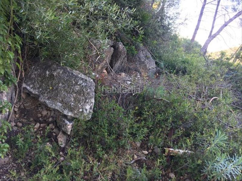 Foto 7d8c3717-6eed-499f-87b3-17bddf8cee5d. Wohngrundstück in Vallirana