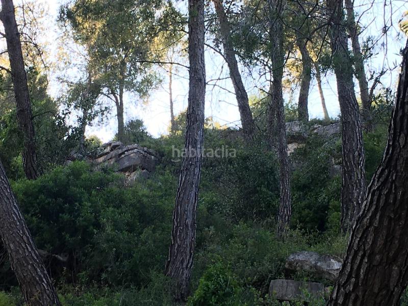 Foto 9e0d9241-5ecf-464a-8ac7-8f8284e9cc85. Wohngrundstück in Vallirana