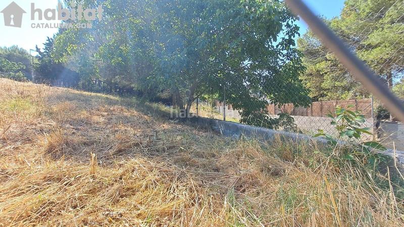 Foto 1563371a-814e-49d0-a362-fdf726708e05. Wohngrundstück in Bruc (El)