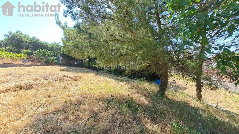 Foto 263c3e34-2deb-4745-9f90-83d75c068379. Wohngrundstück in Bruc (El)