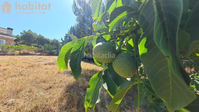 Foto 28880dca-1476-4da2-83c3-51498133e401. Wohngrundstück in Bruc (El)