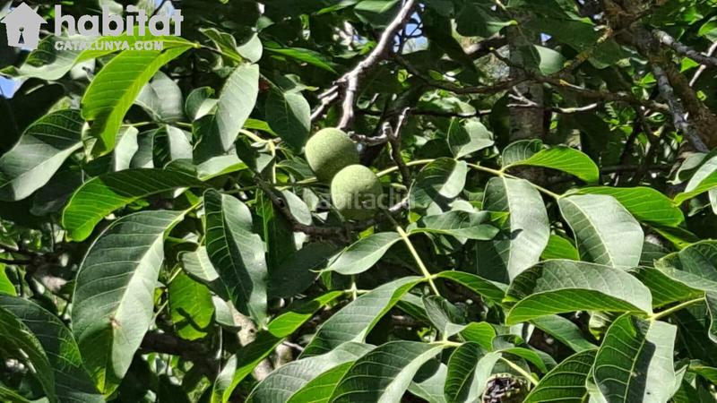 Foto 99990173-a255-49a6-add3-123c0ffbd911. Wohngrundstück in Bruc (El)