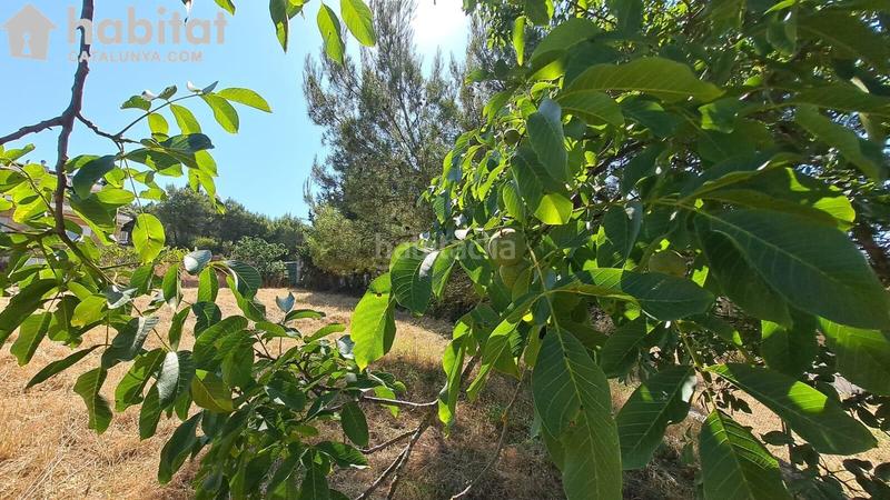 Foto d307550b-1f8e-4299-bf9d-41b1505b9754. Wohngrundstück in Bruc (El)