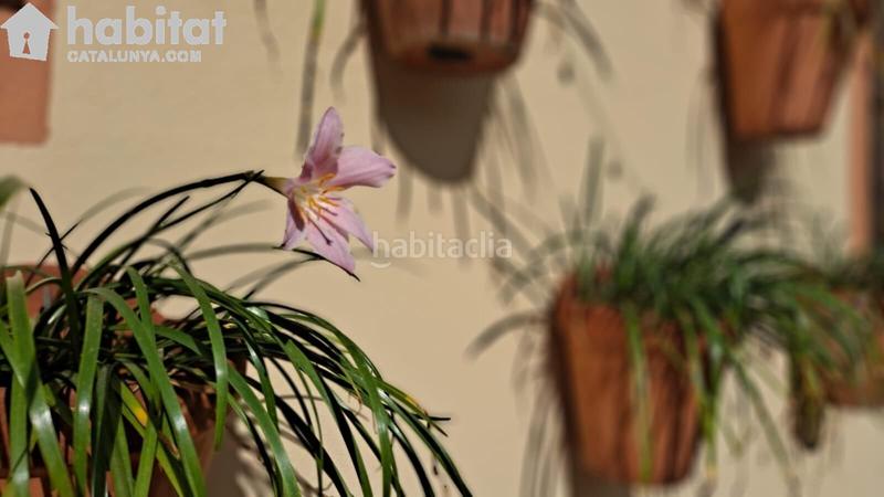 Foto 2bad6ec7-1ec5-49ec-b03c-ad24158e32f3. Casa con riscaldamento parcheggio in Pallejà