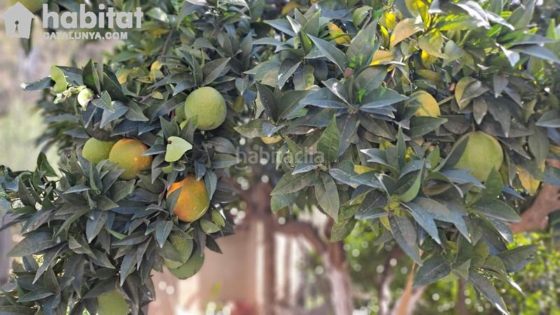 Foto ecdce16e-a1bb-48ce-aabe-90d54f3b1927. Casa con riscaldamento parcheggio in Pallejà